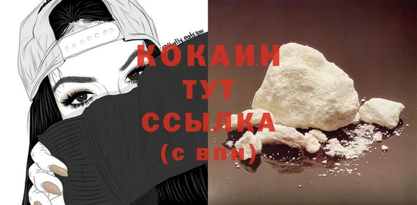 гидра Абаза