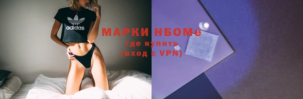 гидра Абаза