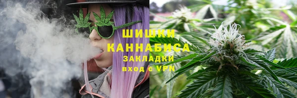 гидра Абаза